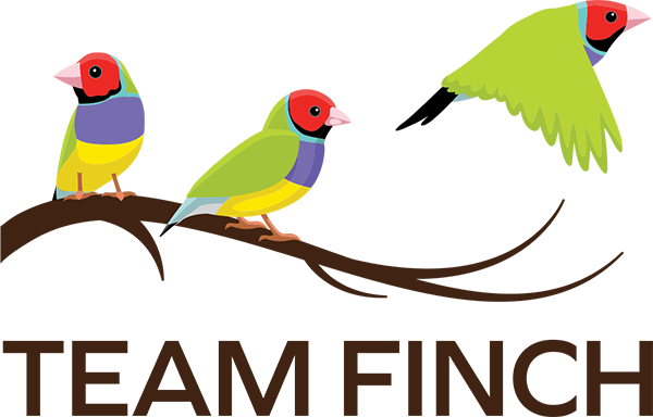 Team Finch Consultants